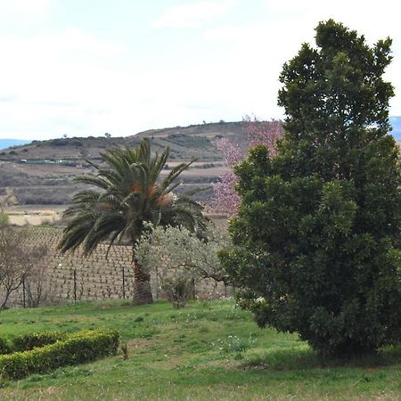 La puebla de Labarca Casa Pichon Etxea 빌라 외부 사진