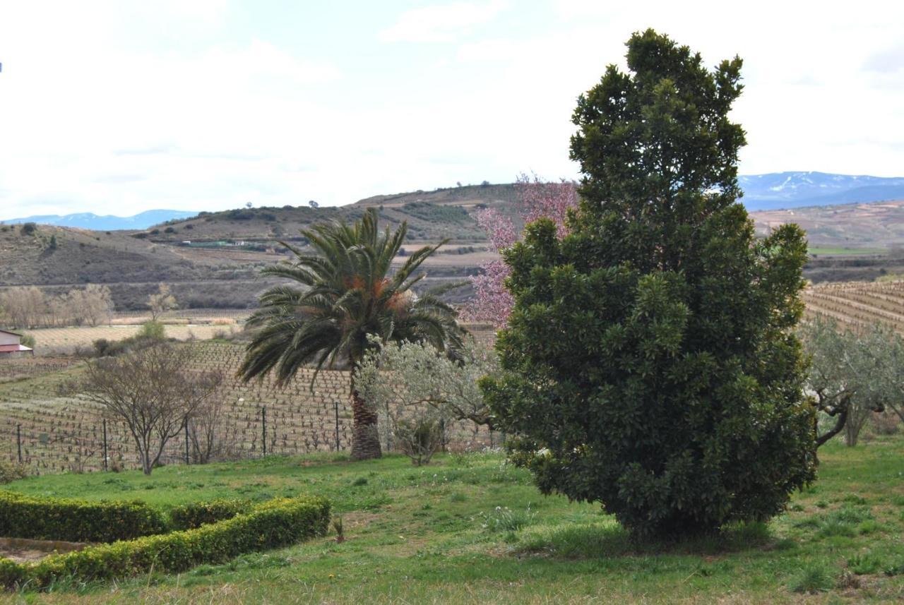 La puebla de Labarca Casa Pichon Etxea 빌라 외부 사진