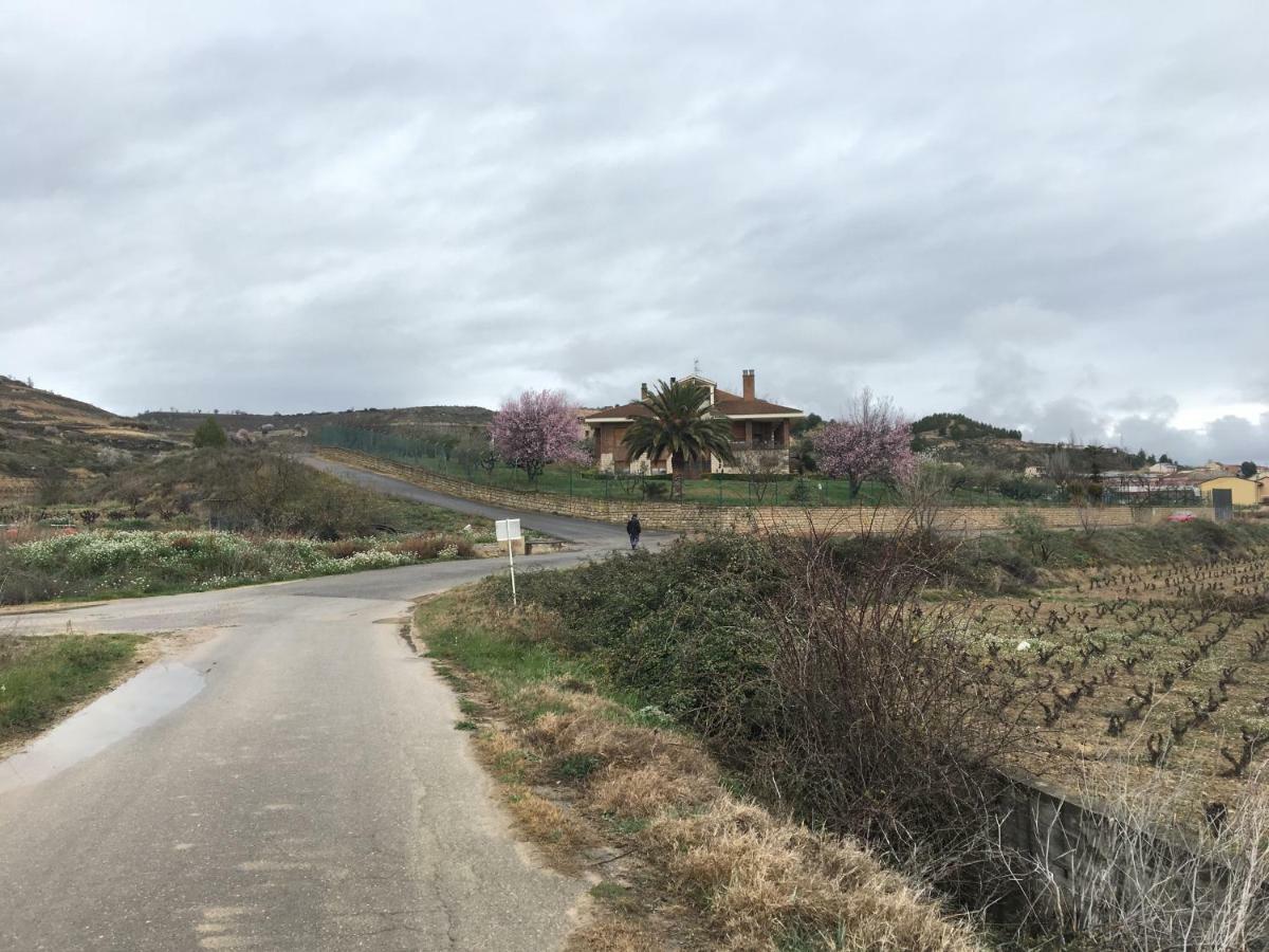 La puebla de Labarca Casa Pichon Etxea 빌라 외부 사진