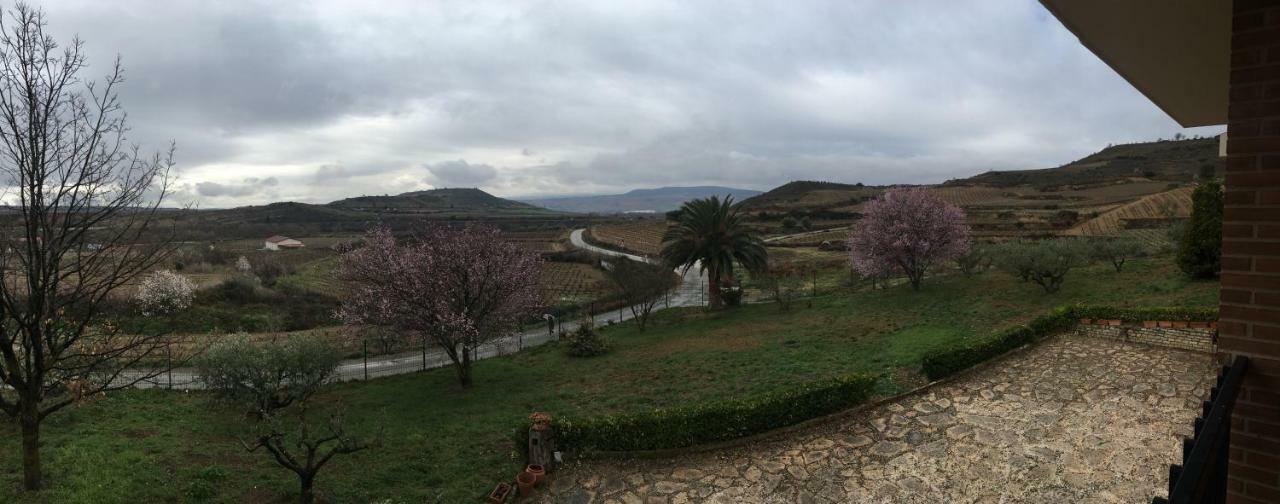 La puebla de Labarca Casa Pichon Etxea 빌라 외부 사진